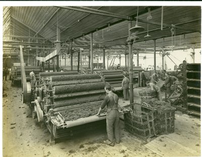 Carding Room, Long Meadow Mill, 1923 by English Photographer